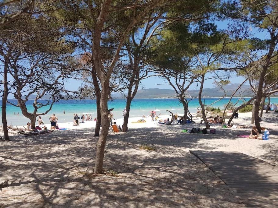 La Perla Bianca - Alghero Lido, Vicino Al Mare מראה חיצוני תמונה